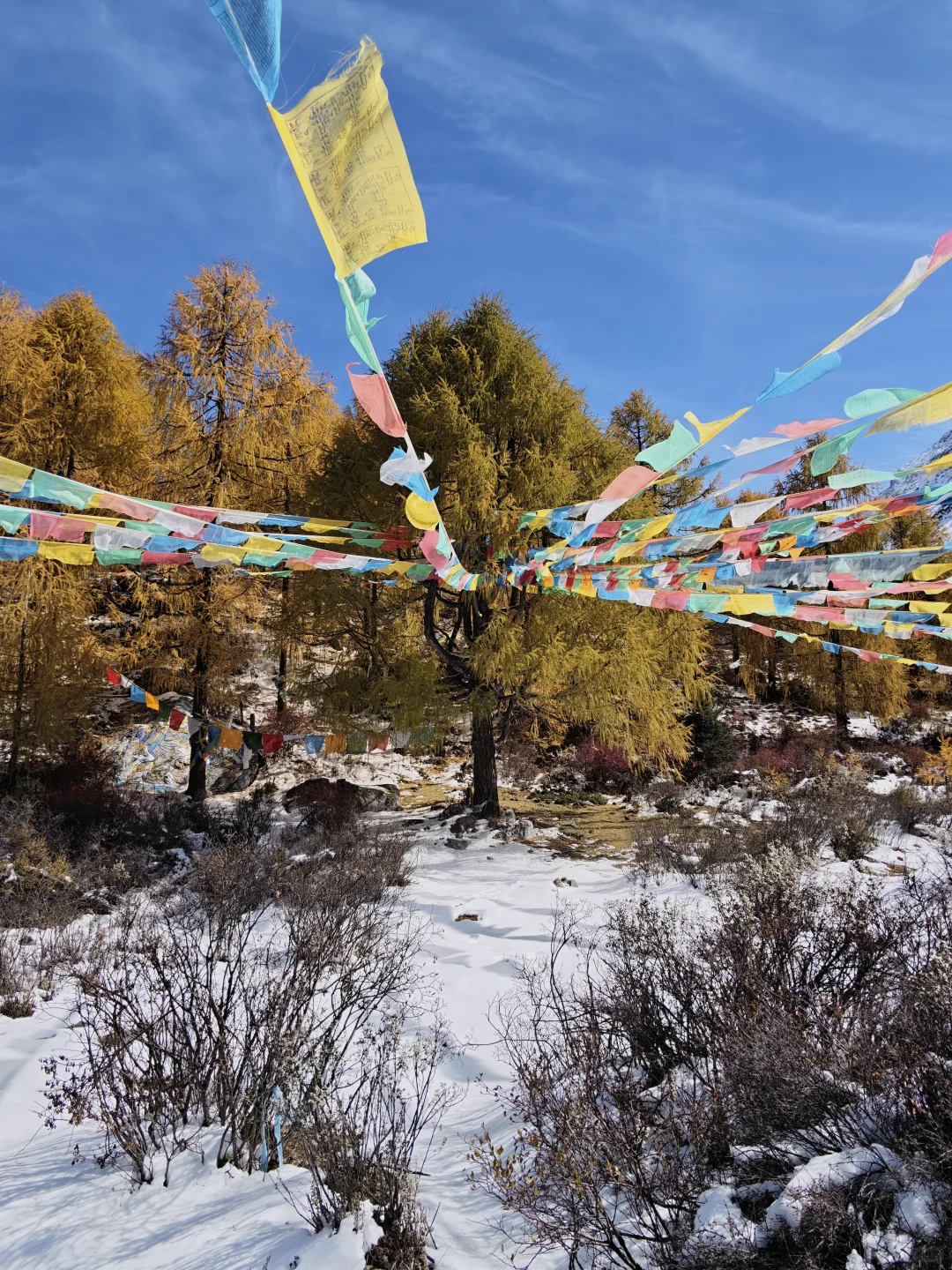 可能是川西最被低估的景区