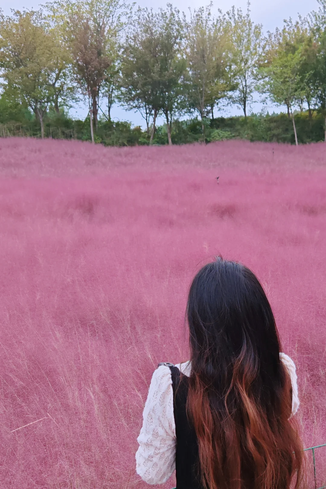 邯郸🥰关于粉红色的一切✨