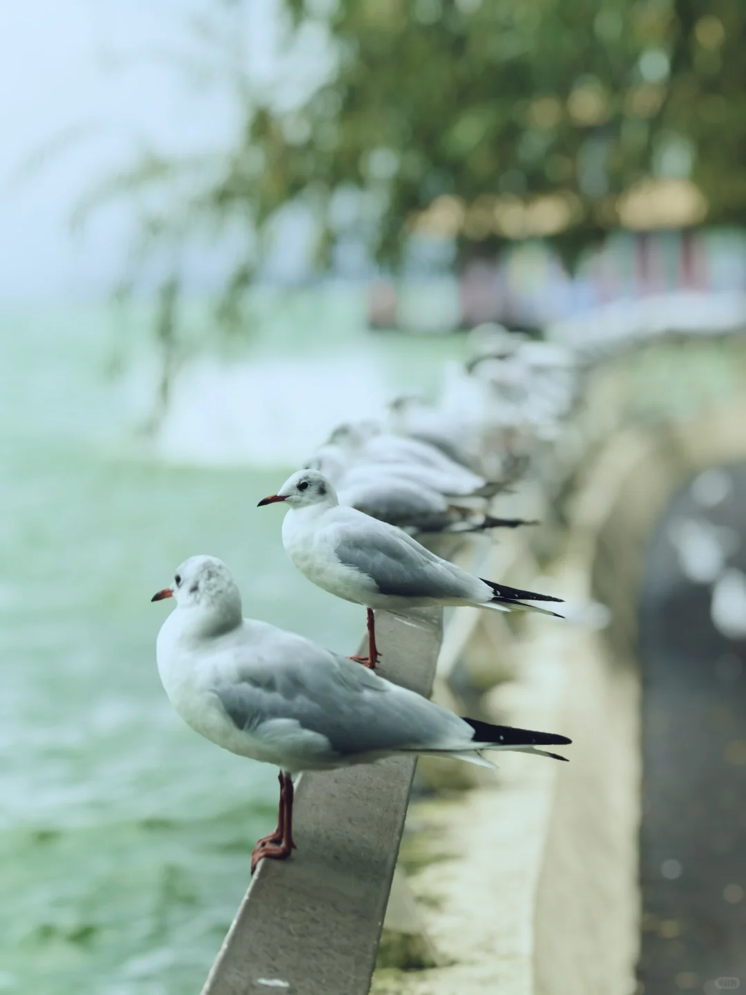 我知我喜乐，纵情跋涉”✈️