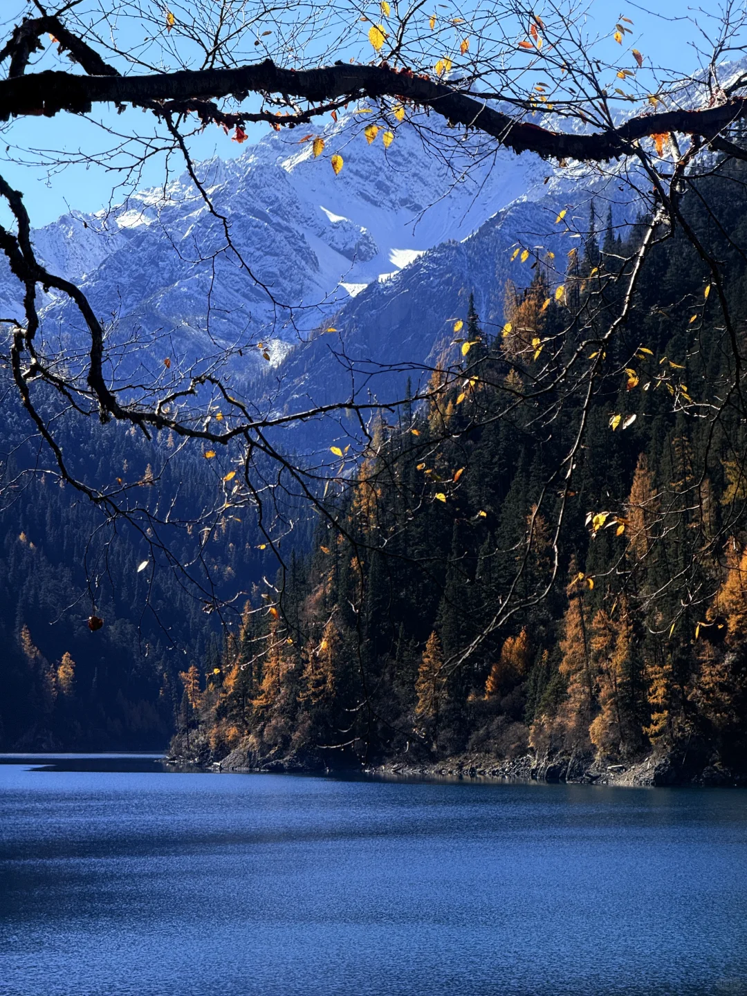 说一万次“太美了”