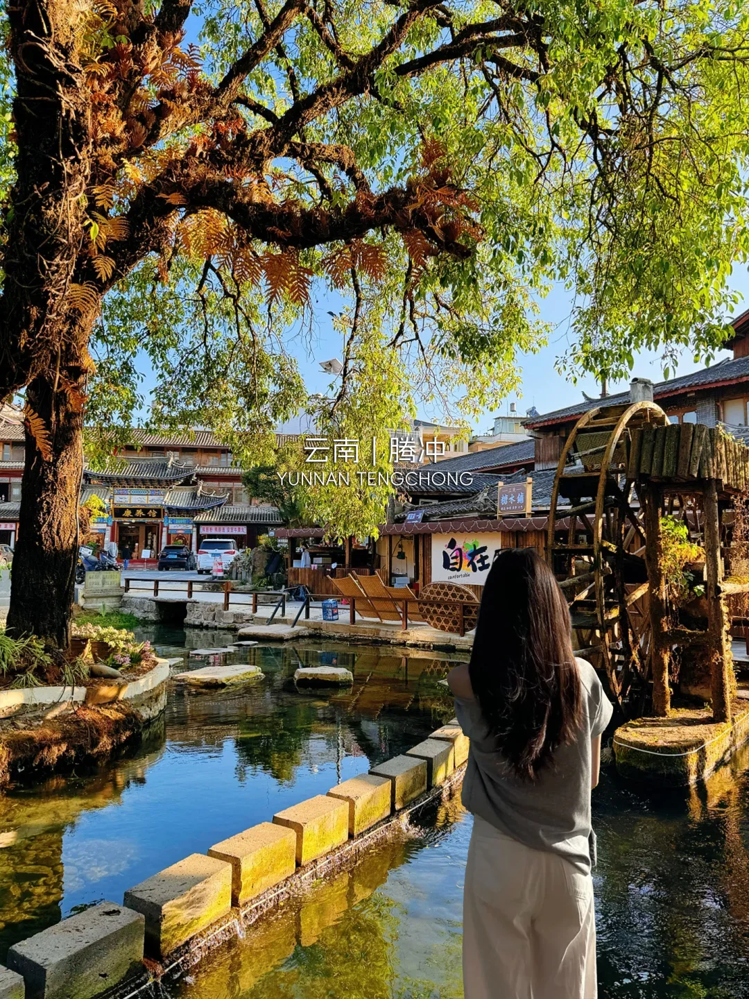 🌴 云南暖冬目的地｜腾冲/弥勒/版纳/芒市