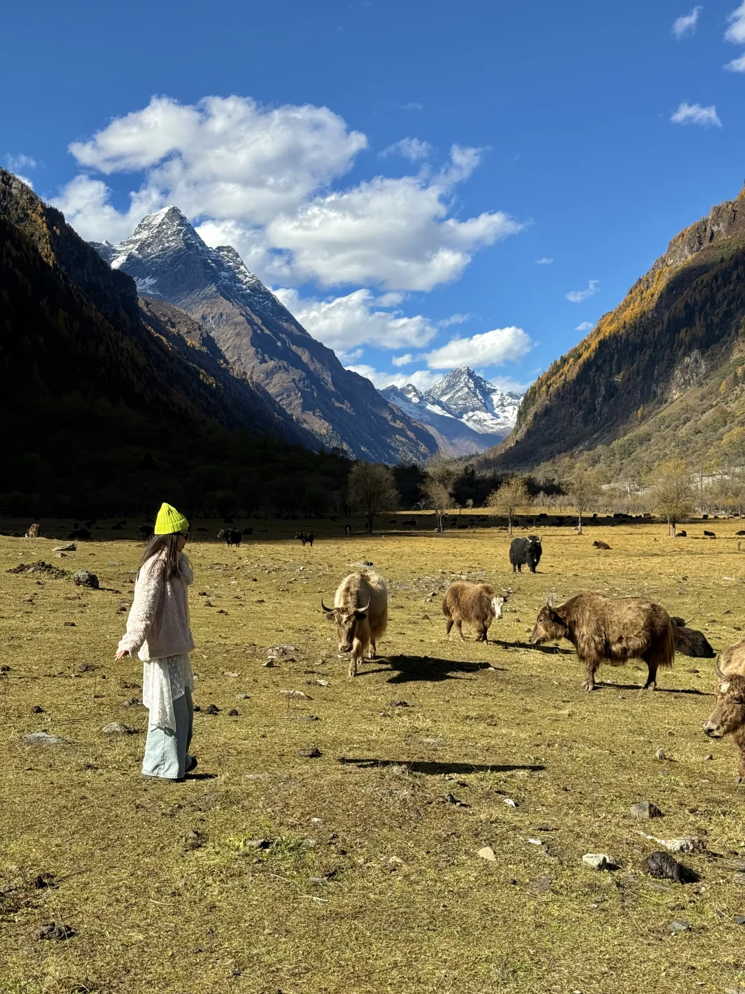 最近的四姑娘山简直是人间理想!!人生live🍁