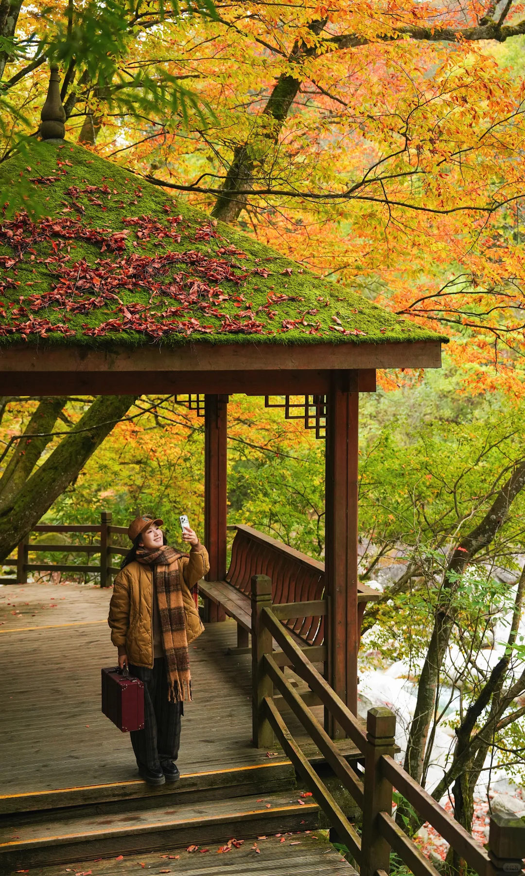 全屏｜迄今为止蕞震撼的赏秋🍁地出现了！