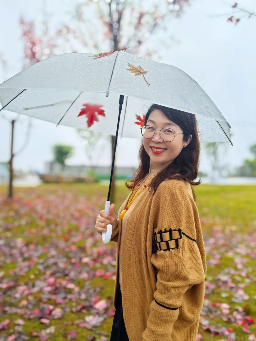 重庆的秋天在哪里|鹿山公园红枫来一波