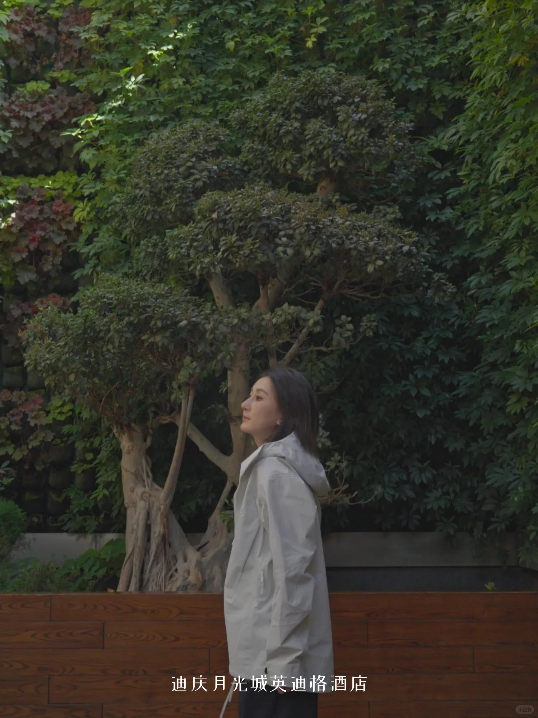 香格里拉限定｜探秘普达措