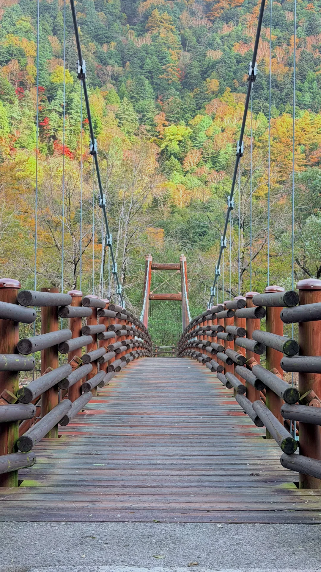 用全屏live打开上高地的秋天🍁