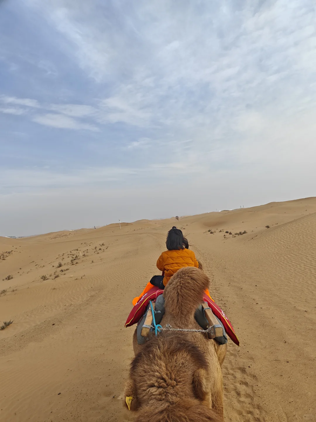秋假打卡银川，风沙是自由的，我们也是！