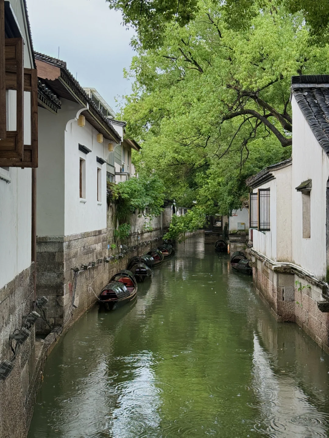 淡季的绍兴真的人间理想。。。
