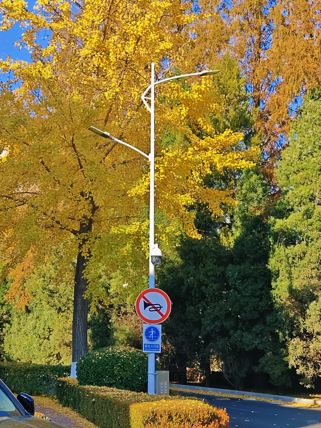 大连的秋天尊嘟好好看