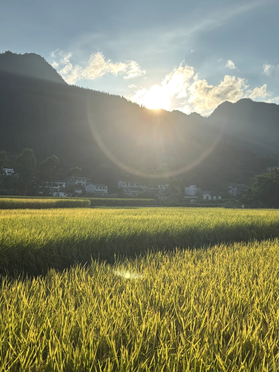 去不了旅行的日子里写写攻略——兴义篇