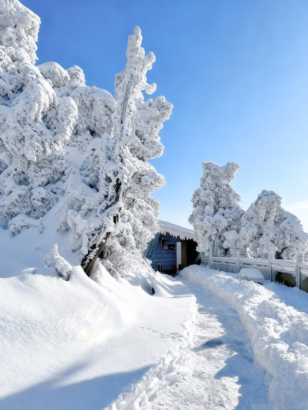 推荐个广东人最省时省钱的赏雪地:南岳衡山