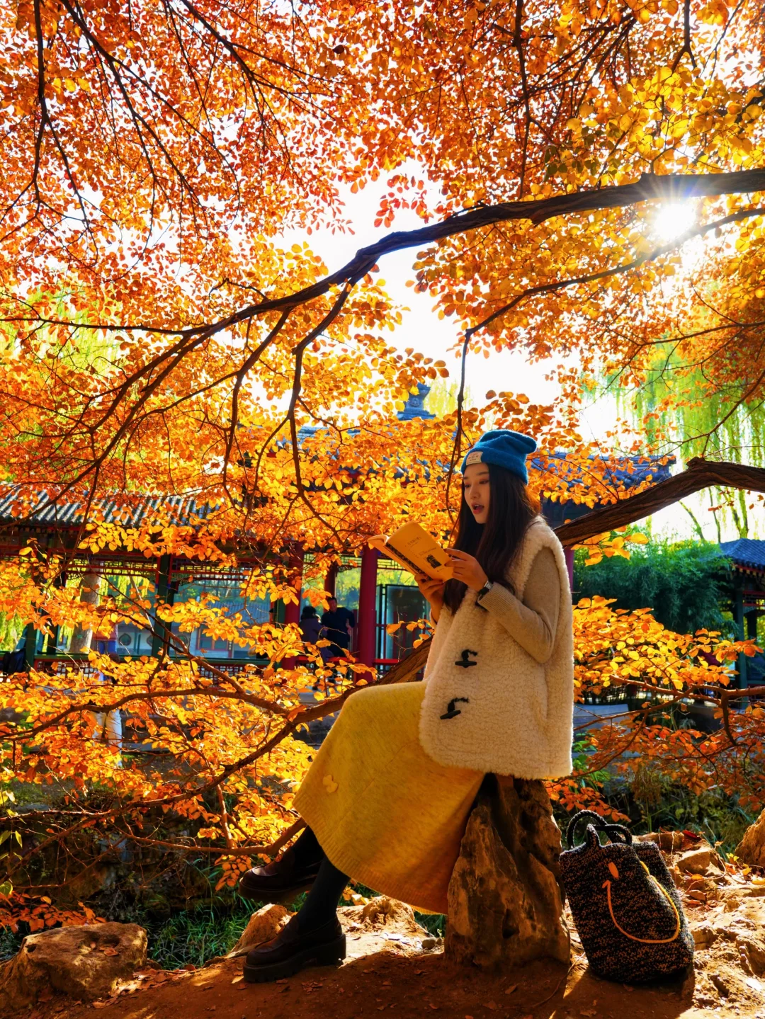 11.5实况!!颐和园油画般的秋景!杀疯了!🍂🍁