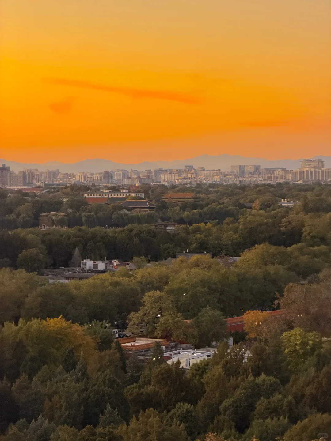 10.31实况！！故宫的绝美日落杀疯了！！！！！！