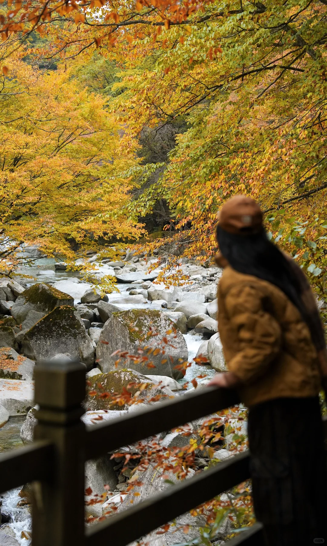 全屏｜迄今为止蕞震撼的赏秋🍁地出现了！
