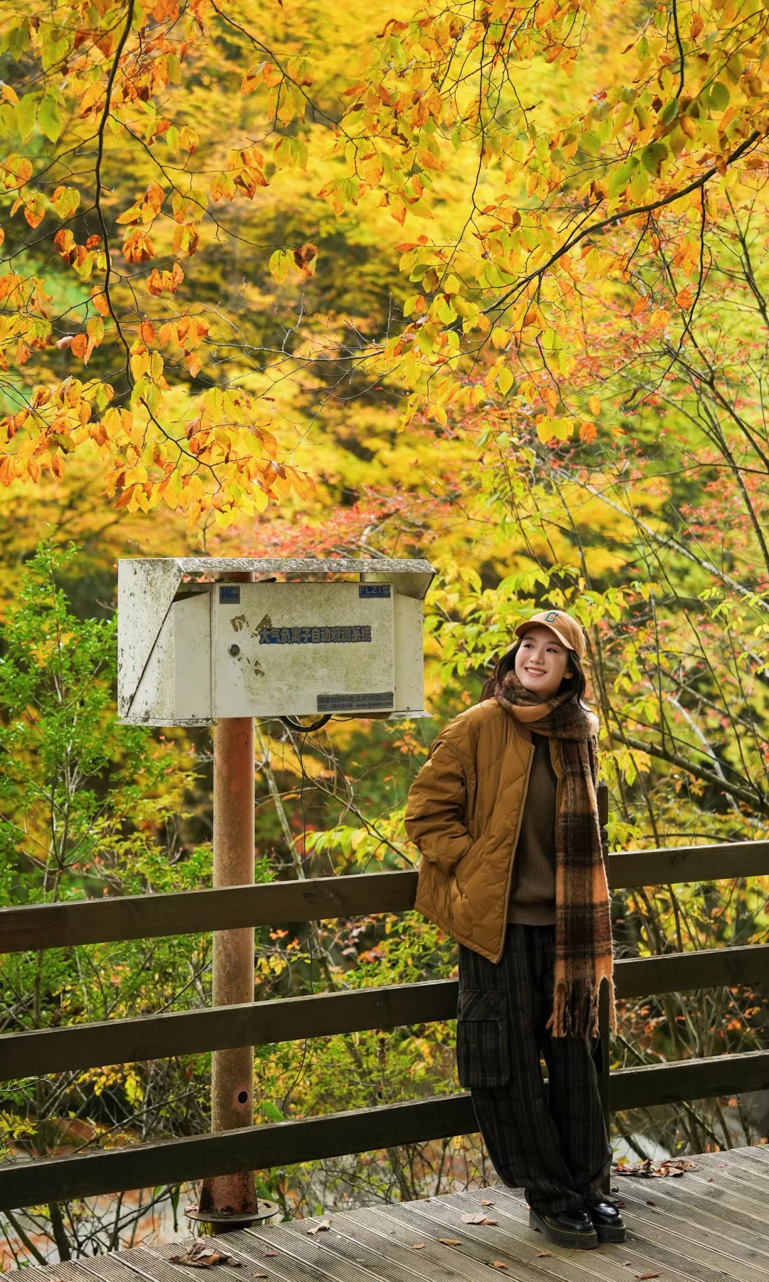 全屏｜迄今为止蕞震撼的赏秋🍁地出现了！