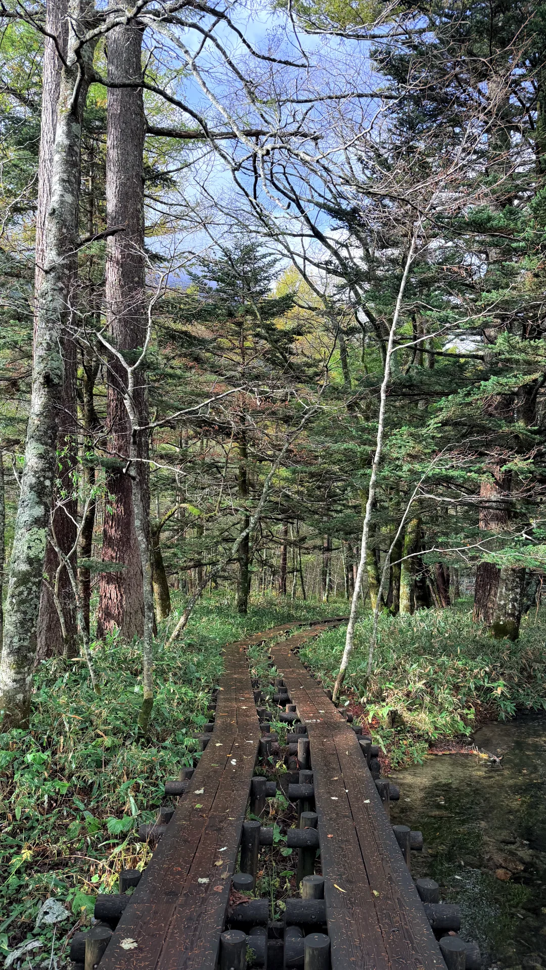 用全屏live打开上高地的秋天🍁