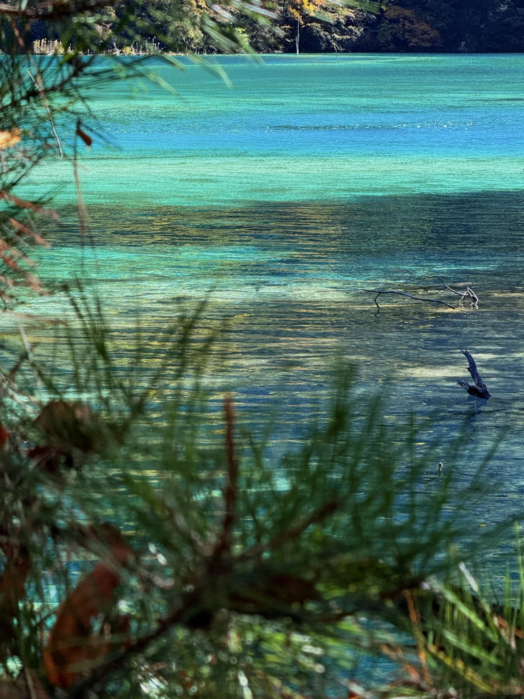说一万次“太美了”