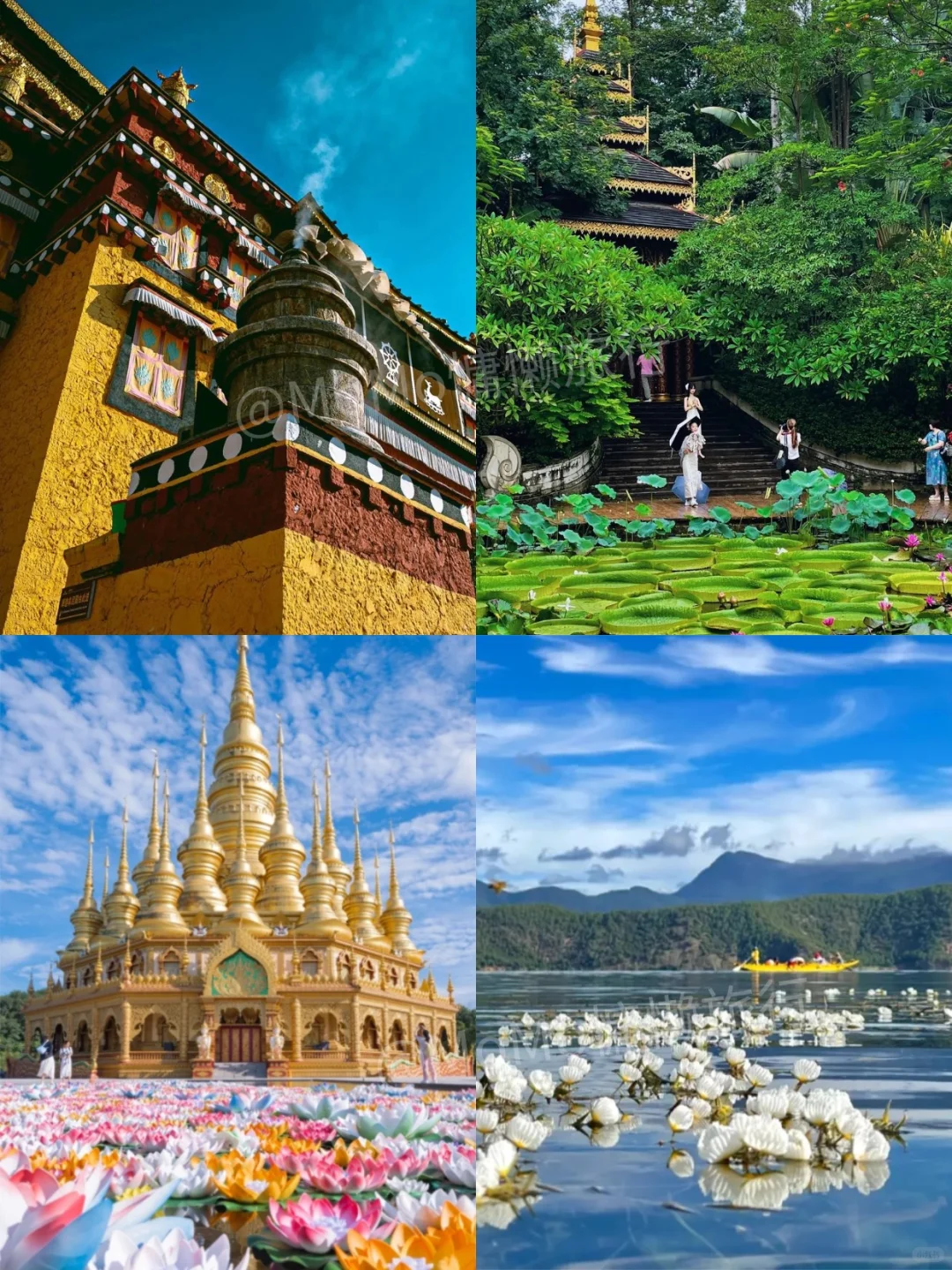 云南5天4晚纯玩旅游小团攻略📝