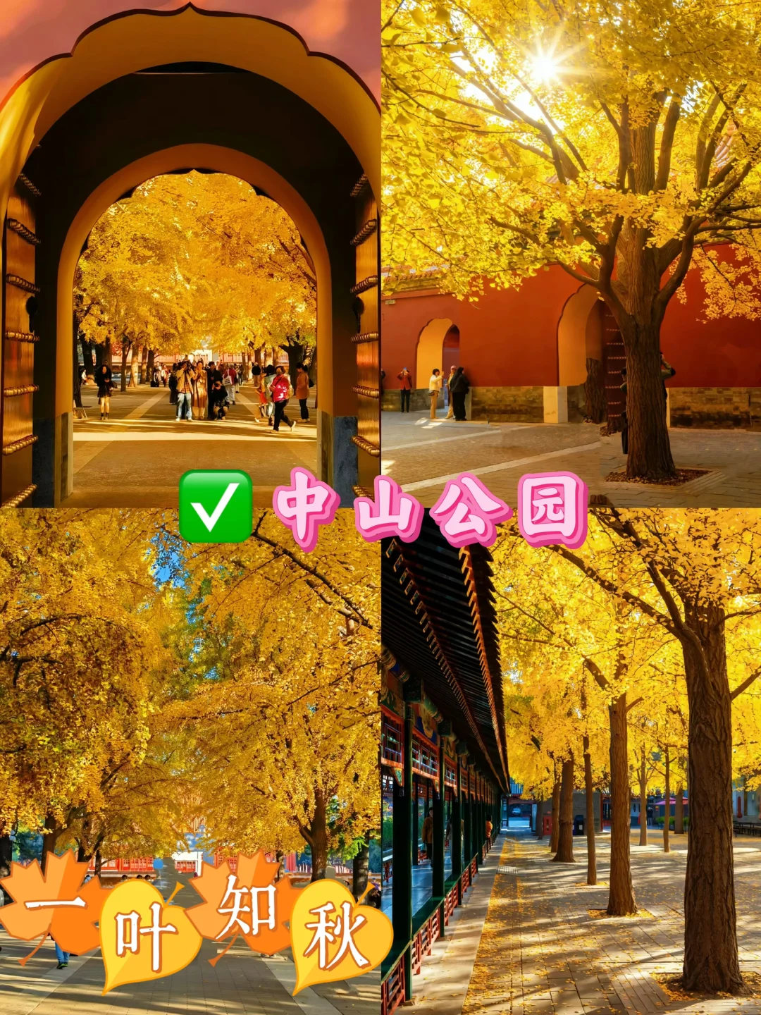 北京九大赏秋地合集！错过还得在等一年🔥