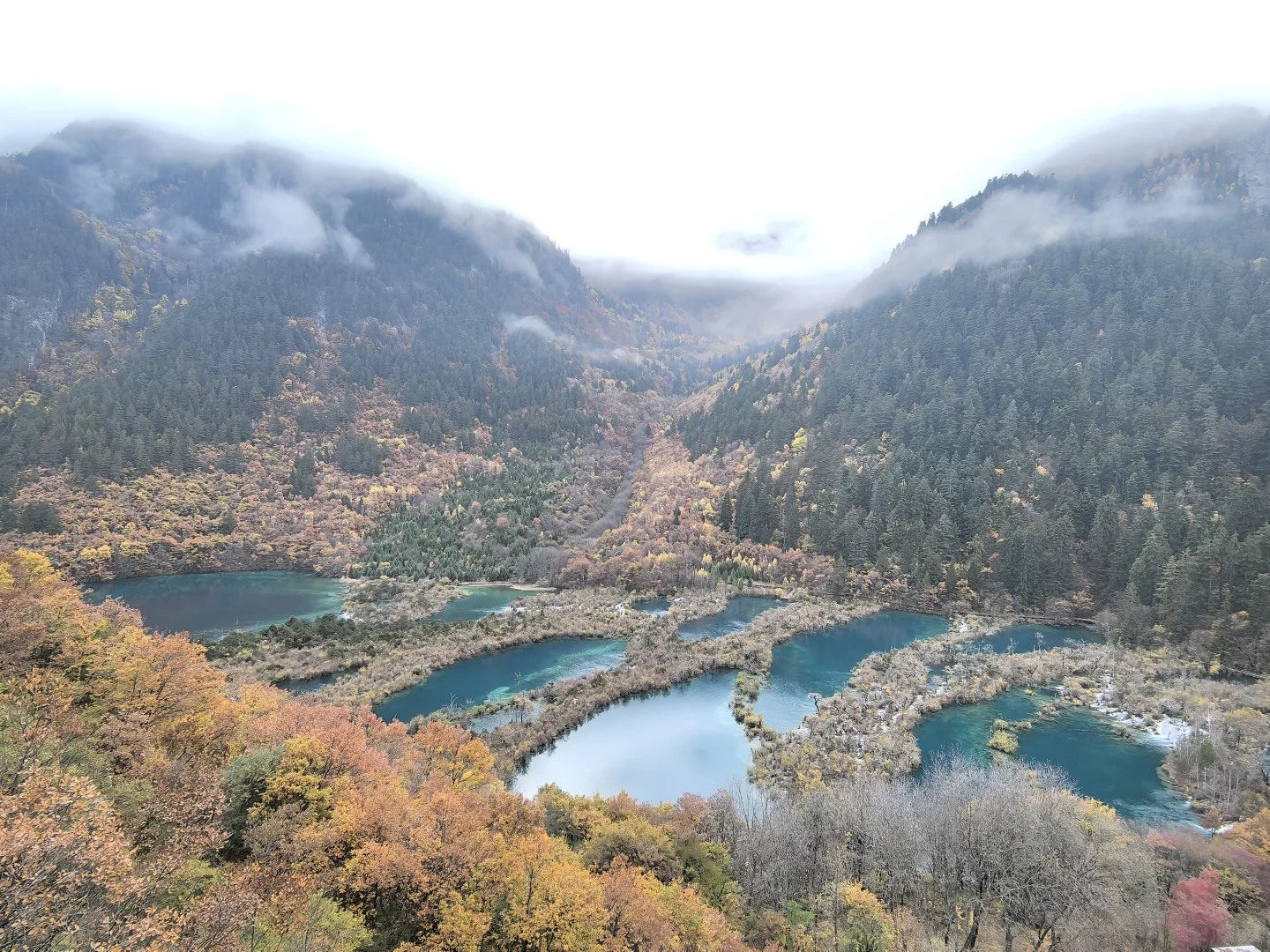 11.11九寨沟树正沟实况