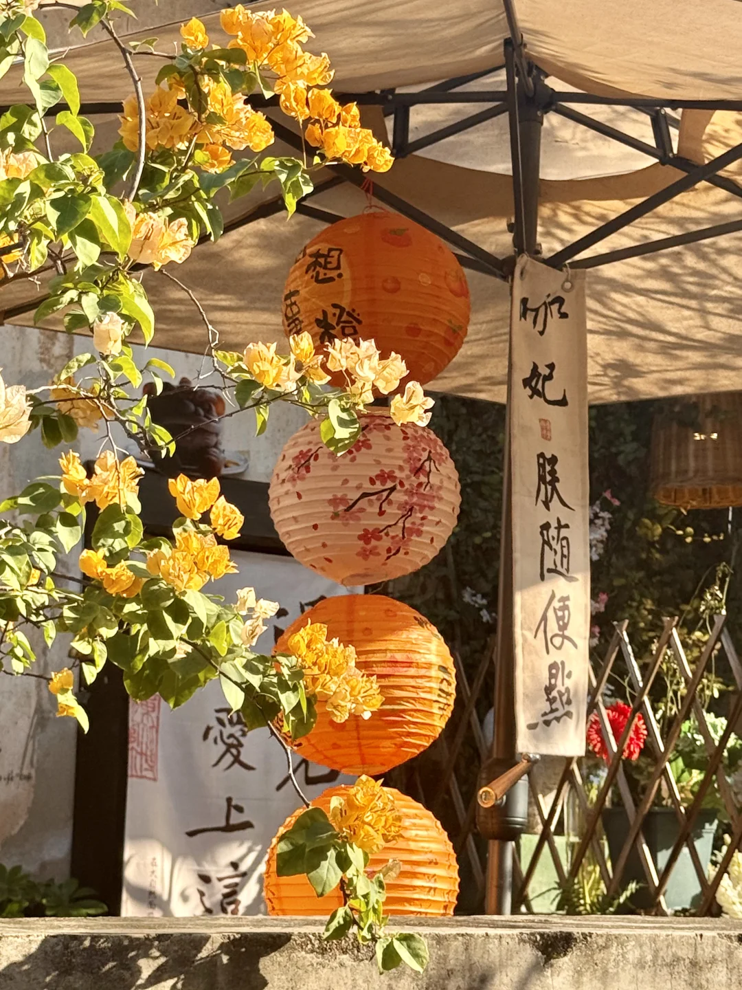 深圳观澜古墟📍百年古村的松弛感疗愈之旅🪨