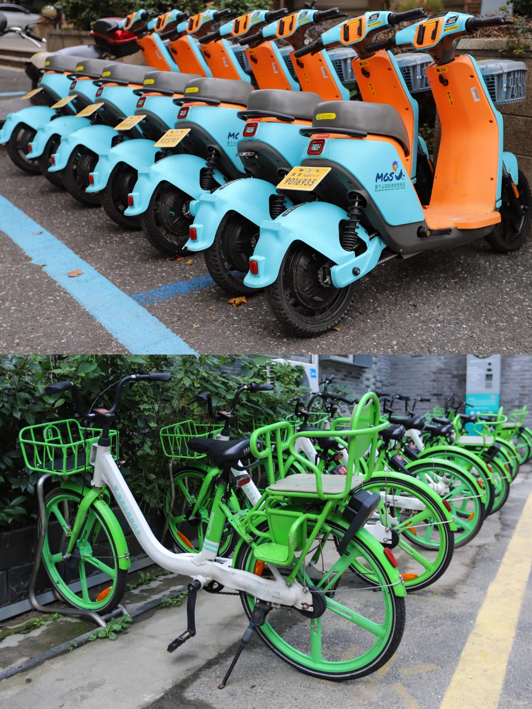 📝杭州出发莫干山庾村·半日游攻略