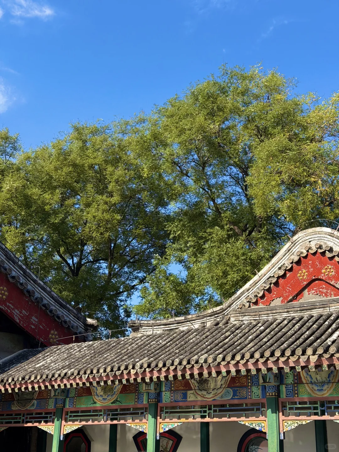 10.20📸颐和园人少景美的小众机位（附攻略