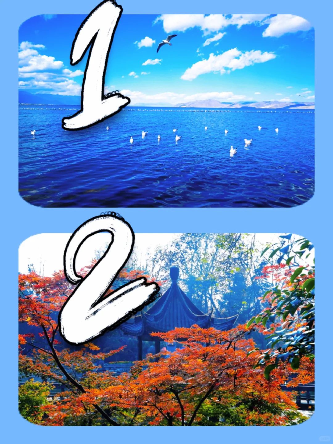 11-12月最适合去哪？