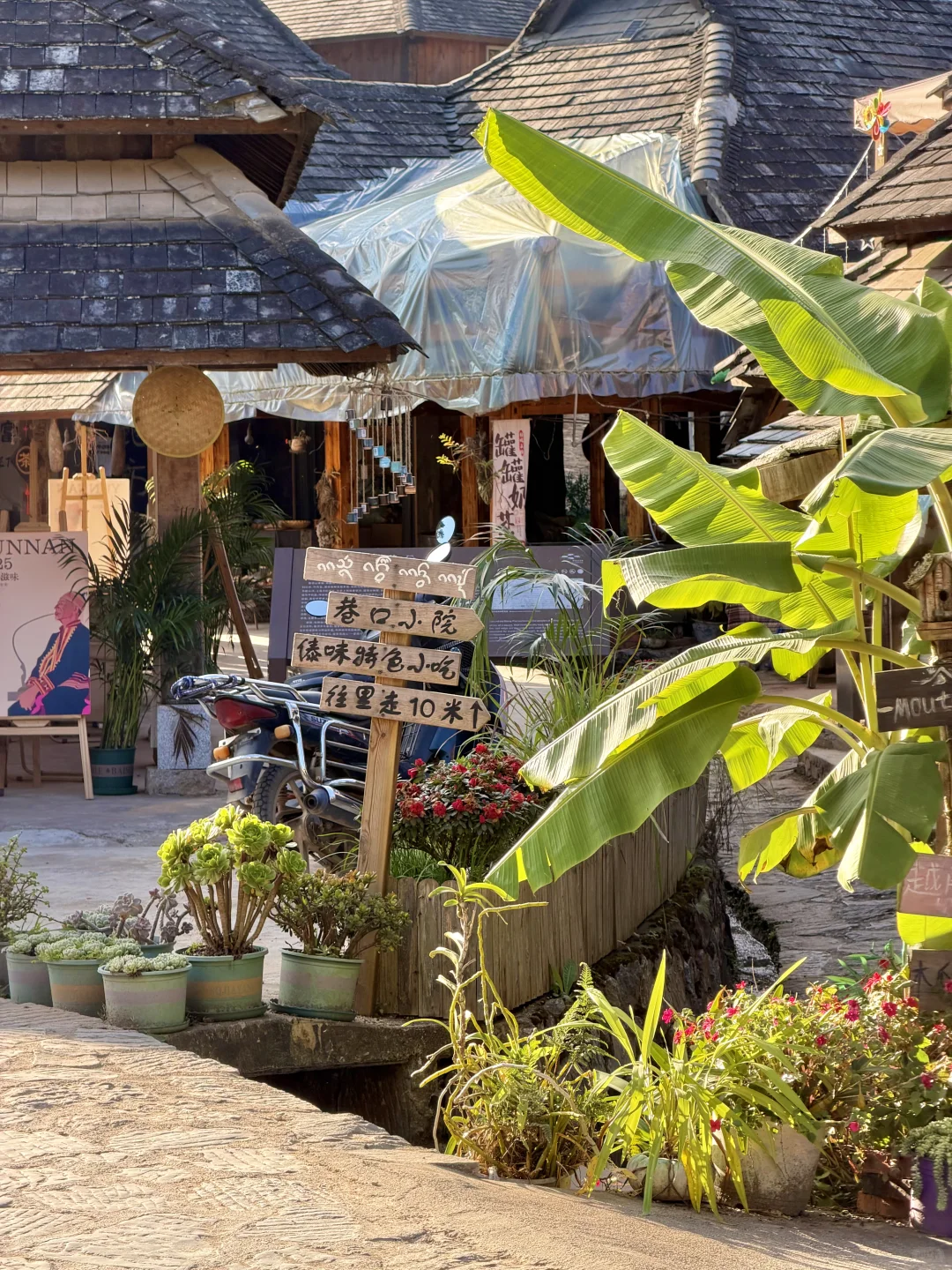 今年为止,我最喜欢的旅行地出现了…