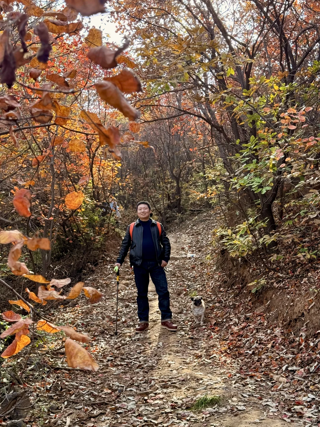 郑州1h直达!山上的红叶杀疯了!!!