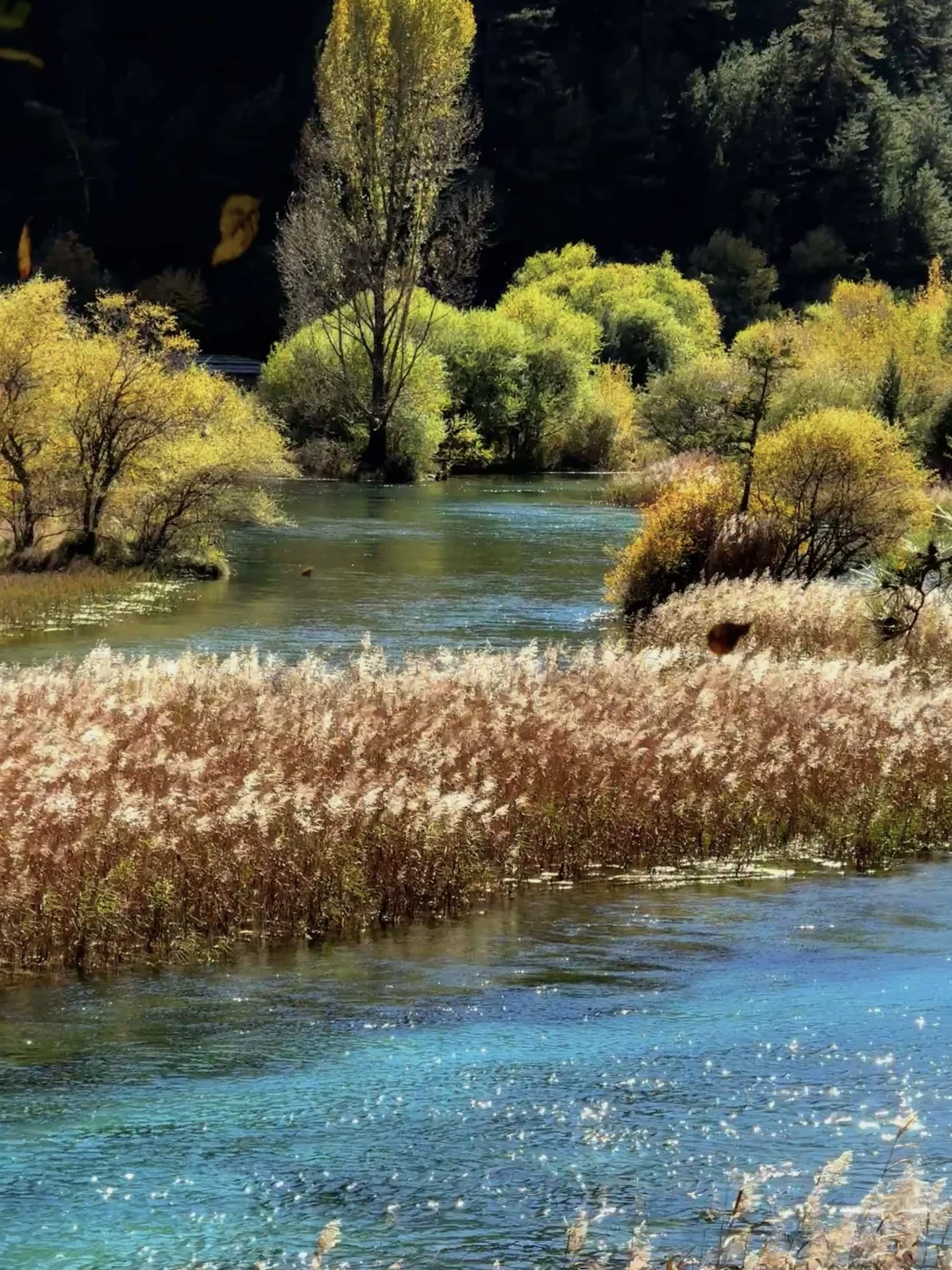 说一万次“太美了”