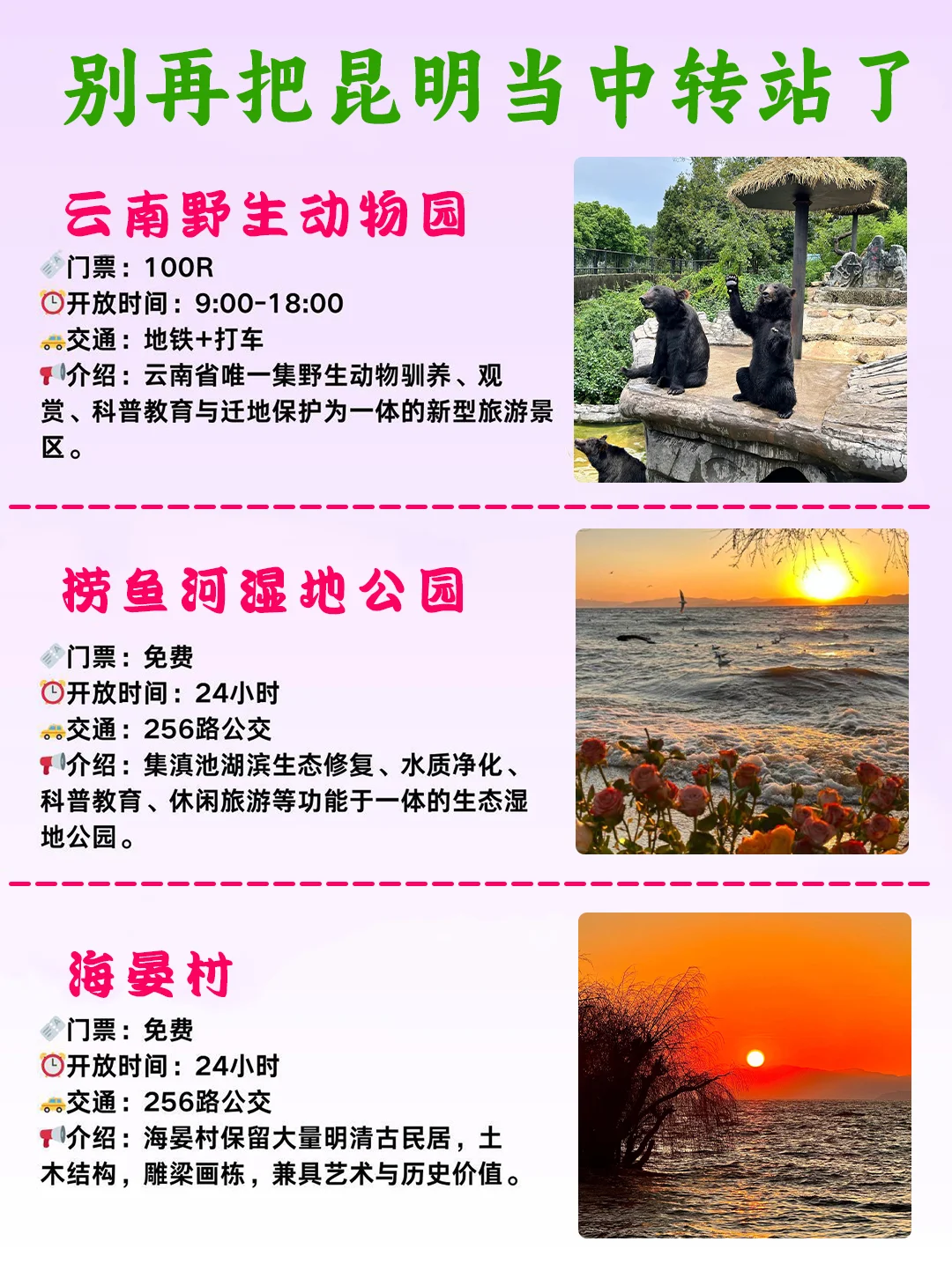 📍暑假去云南 别再把昆明当中转站✨快冲