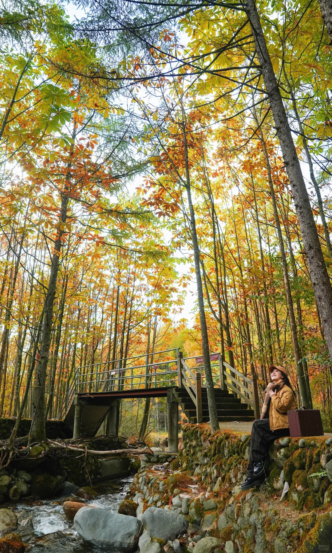 全屏｜迄今为止蕞震撼的赏秋🍁地出现了！