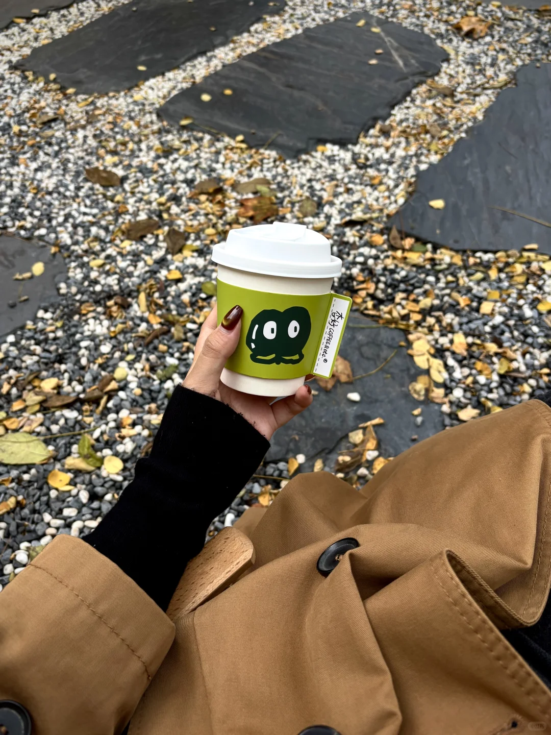 八大关的秋天🍂