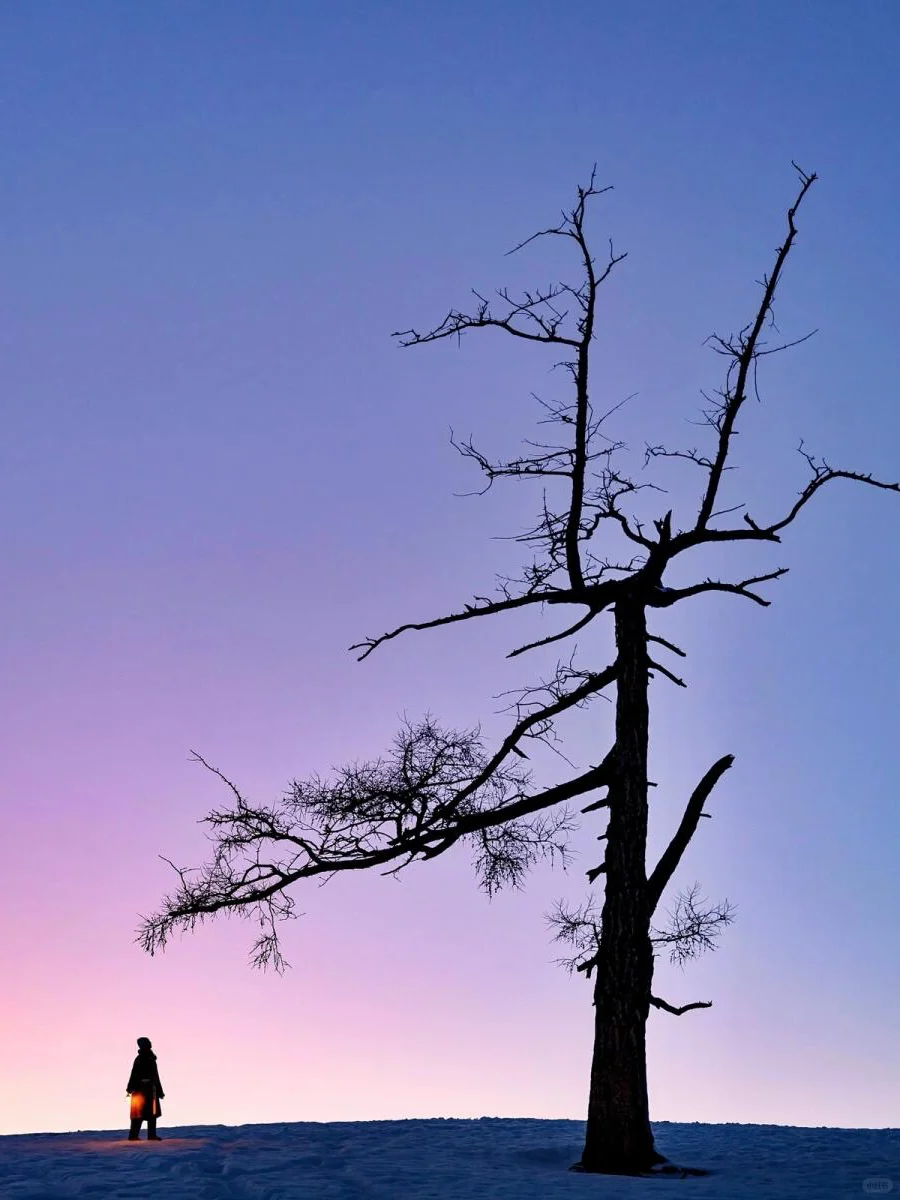 今年冬天总要去一次阿勒泰玩雪吧！