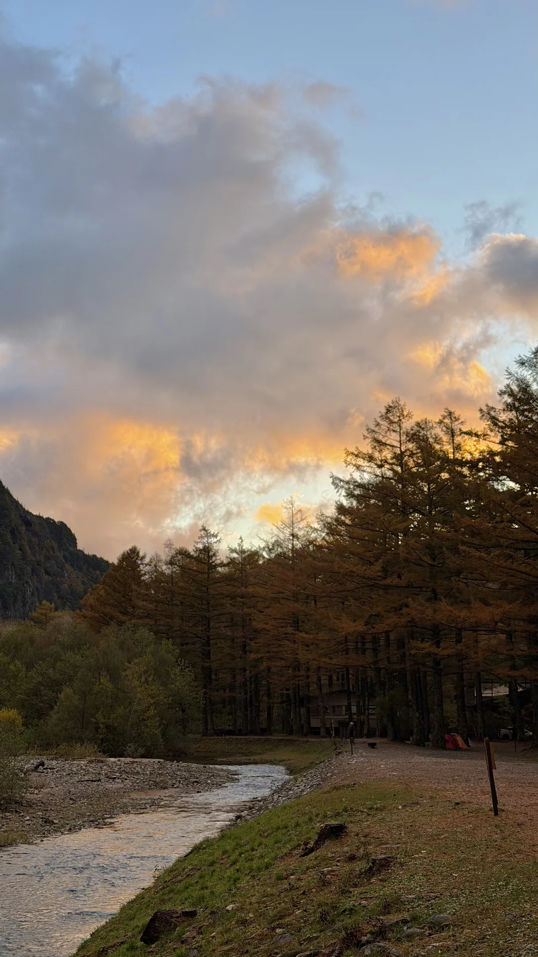 用全屏live打开上高地的秋天🍁