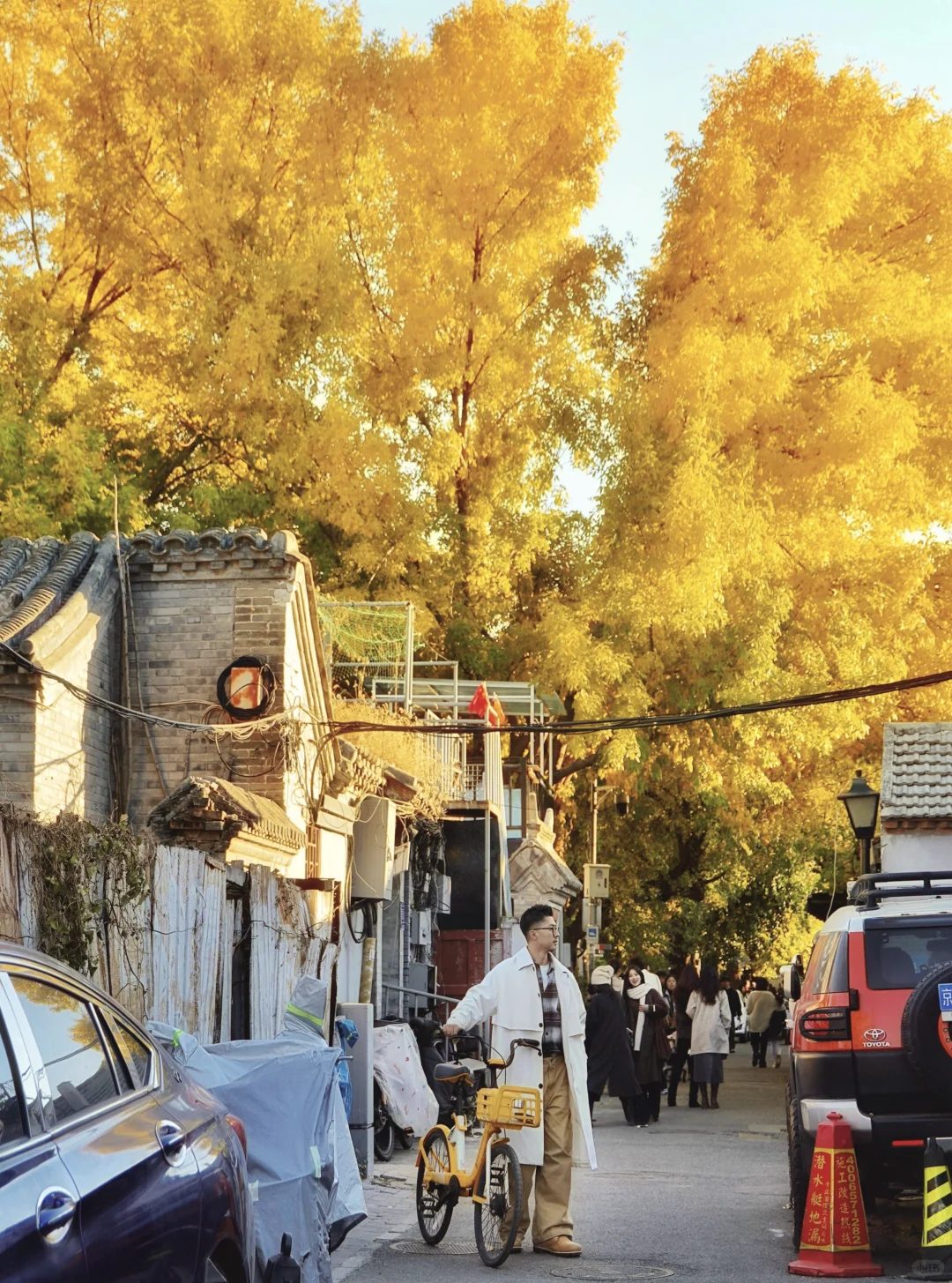 答应我,本周来北京一定走这条路线🍂11.6版