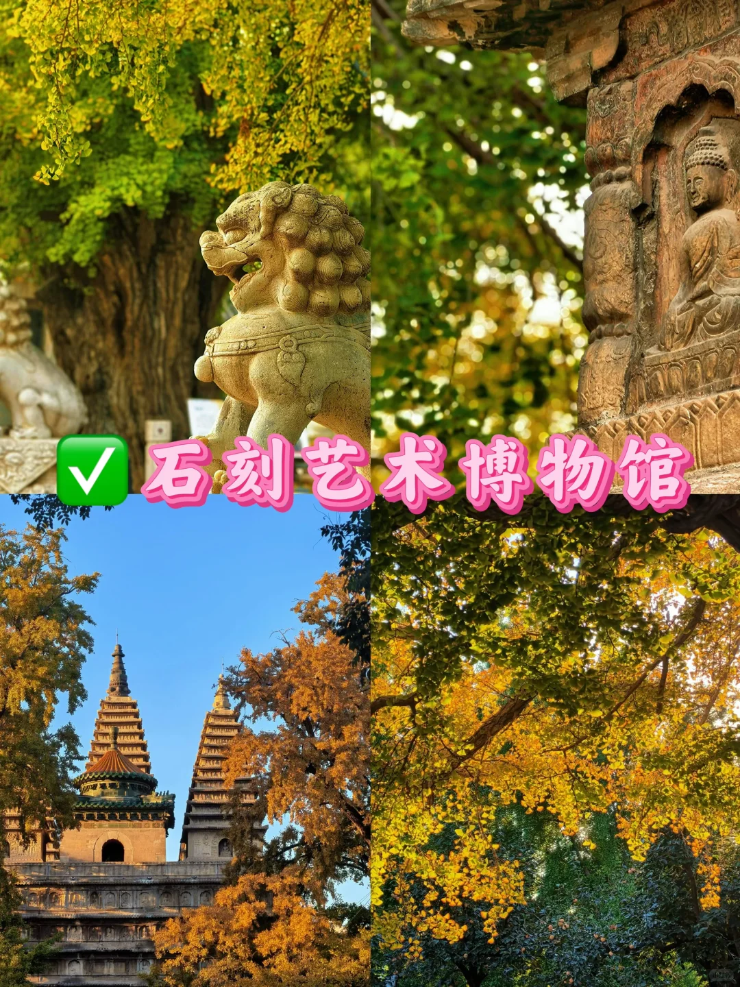 北京九大赏秋地合集！错过还得在等一年🔥