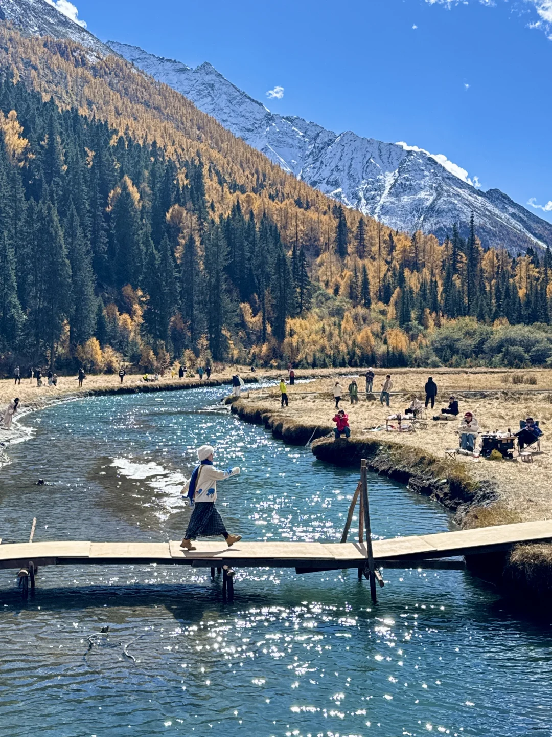 11.6📍理小路爆美！！川西是史诗级的秋天live