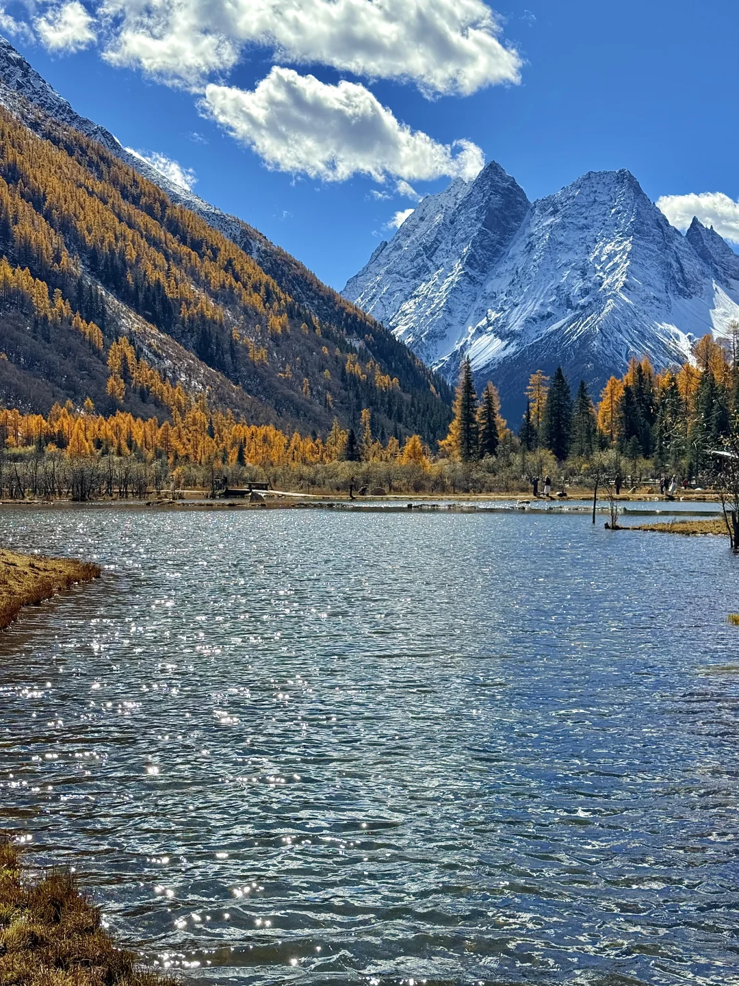 最近的四姑娘山简直是人间理想!!人生live🍁