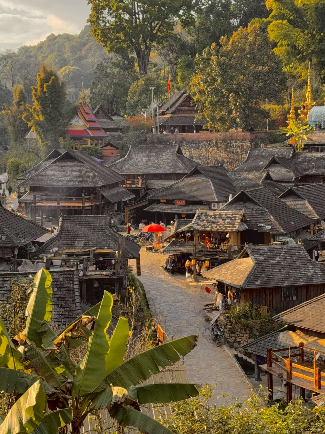 今年为止,我最喜欢的旅行地出现了…