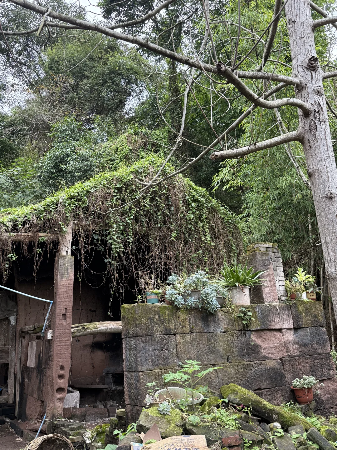 202511简阳樊光廷炮楼