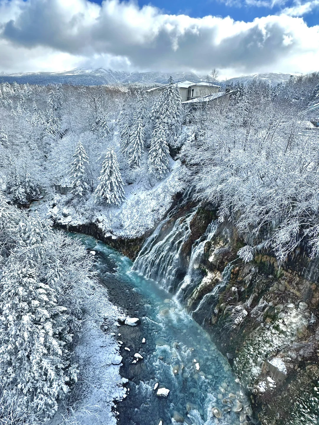 北海道包车🚗价格攻略✅（避免踩坑）💣
