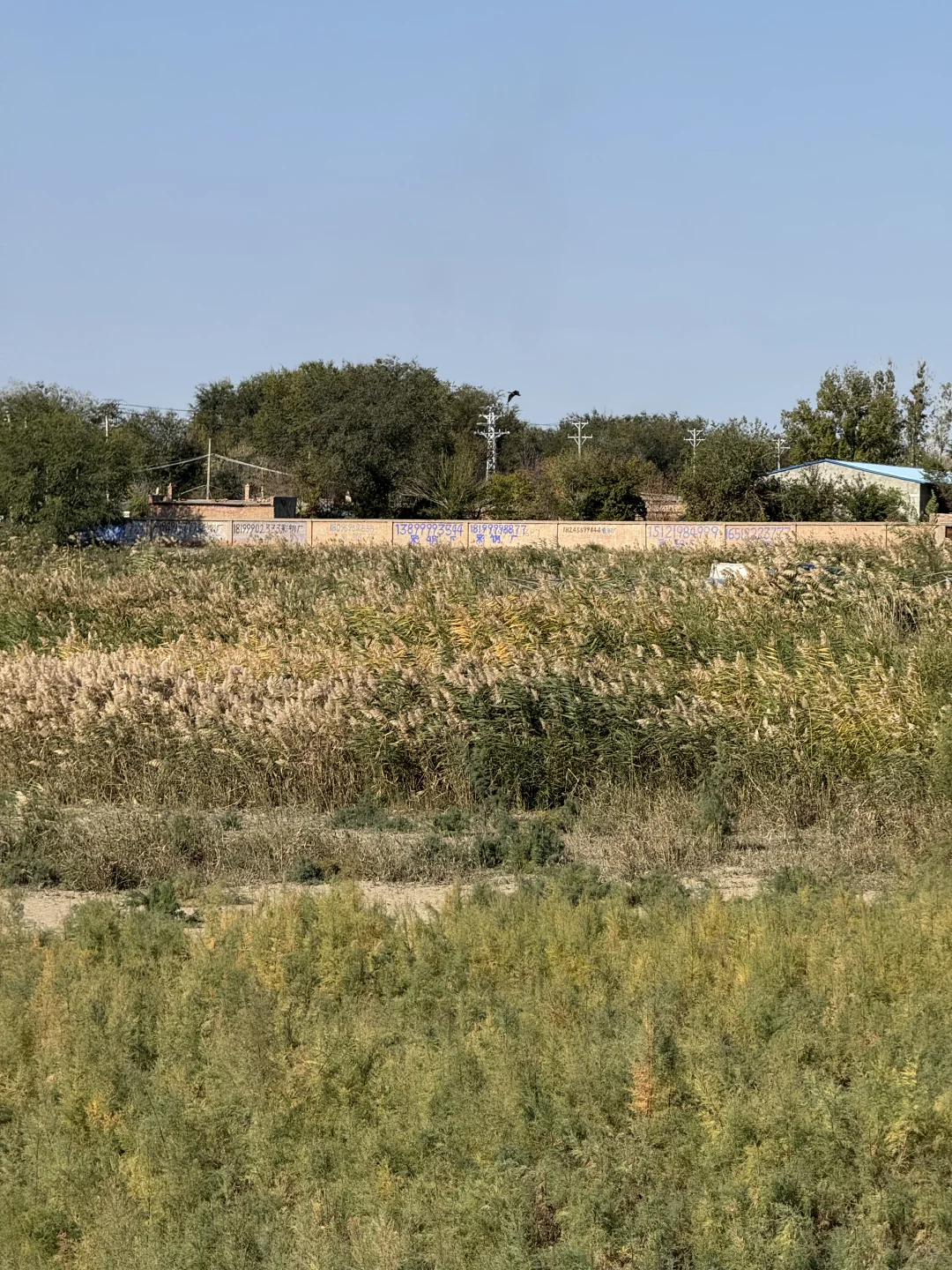 五家渠｜海棠山风景区