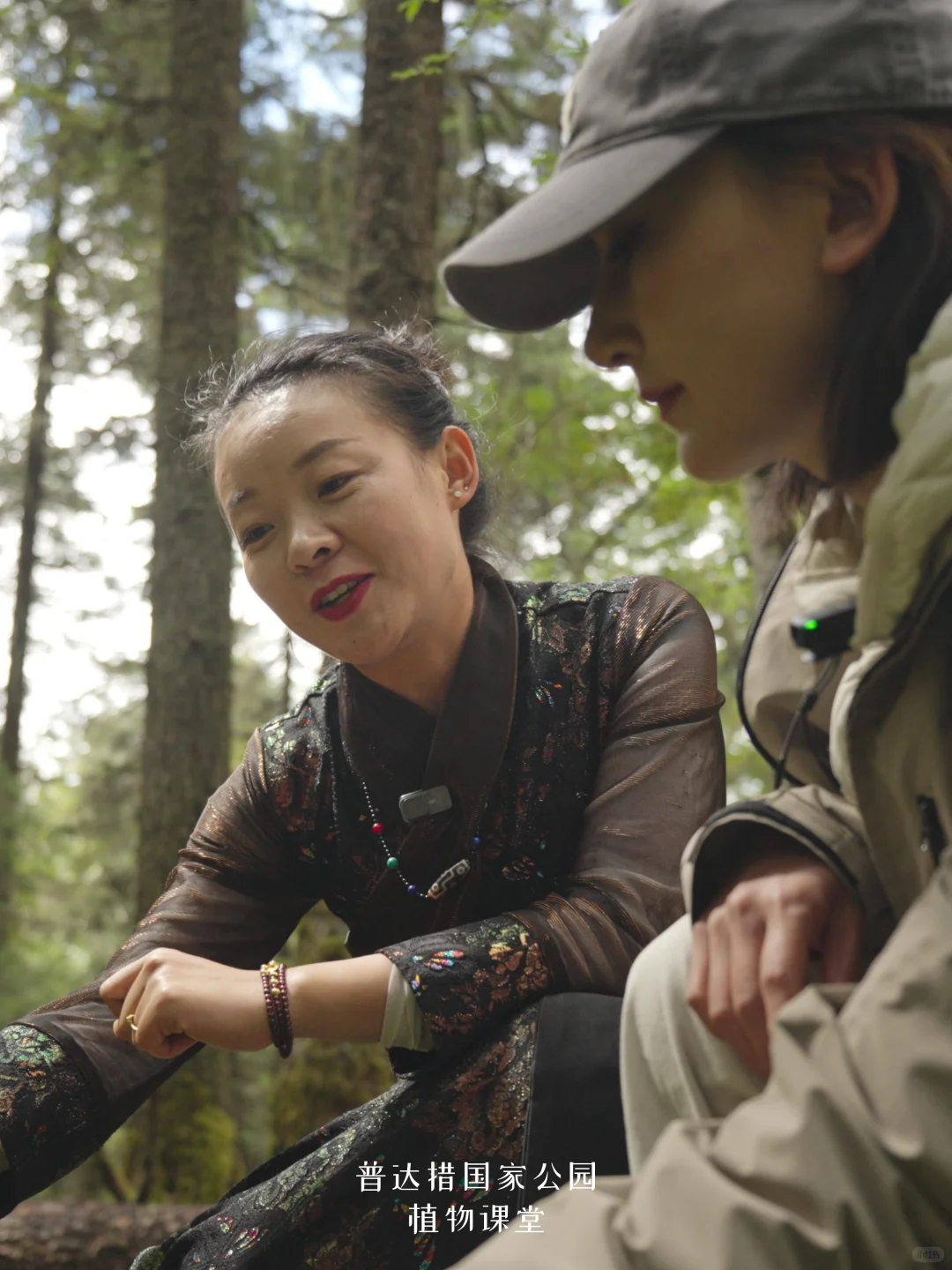 香格里拉限定｜探秘普达措