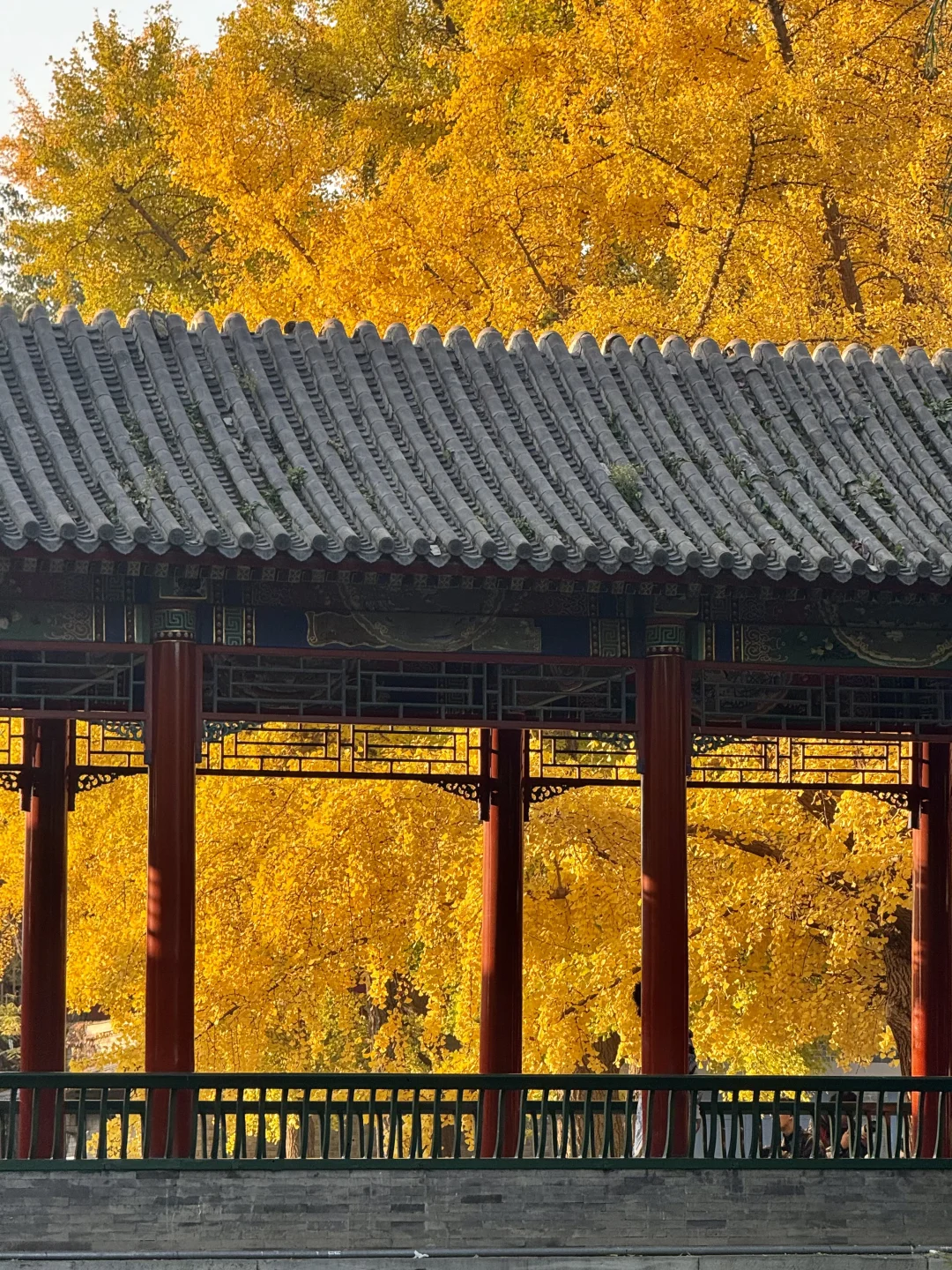 答应我,本周来北京一定走这条路线🍂11.6版