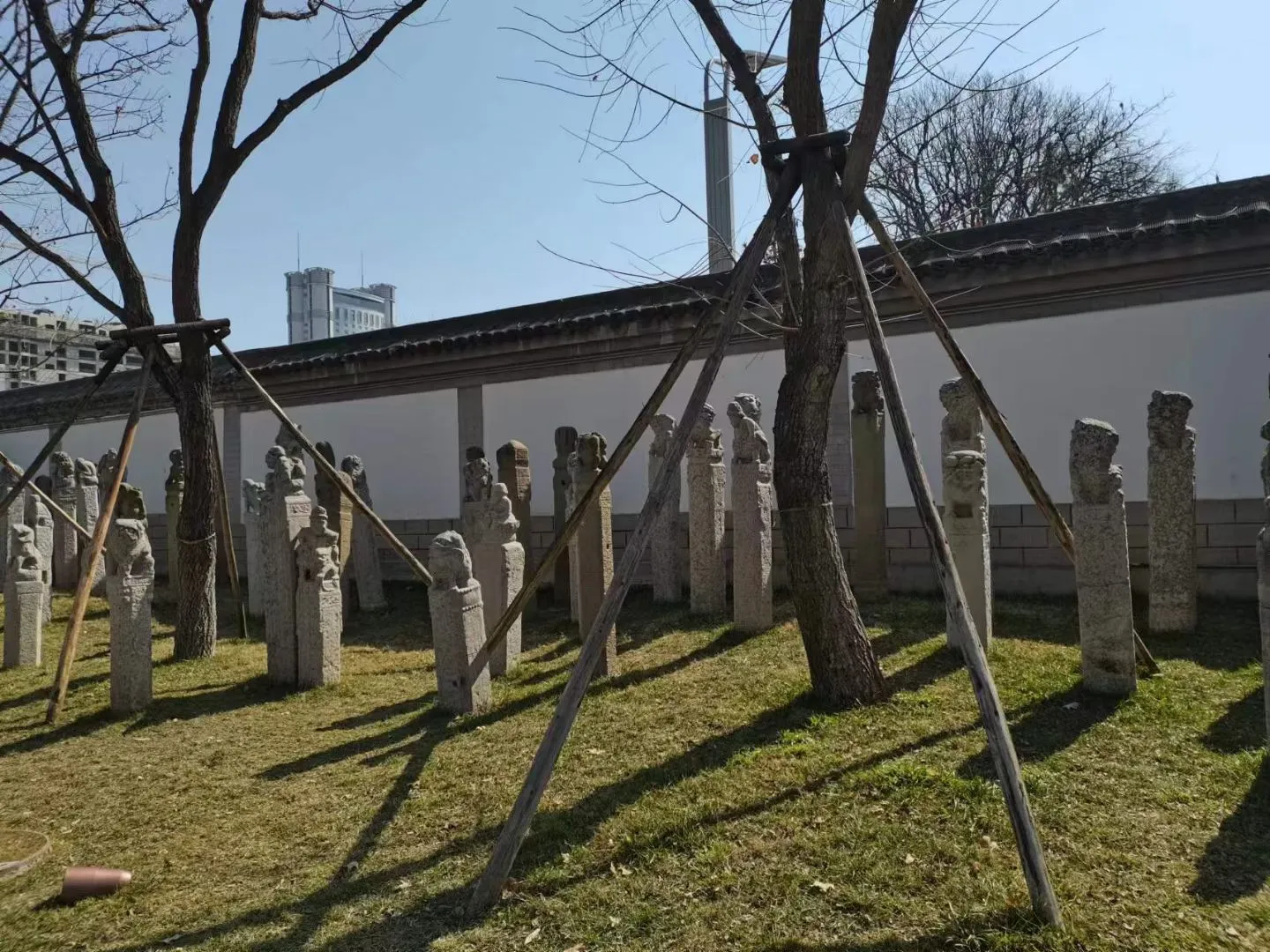 去了，真的超好看！！！