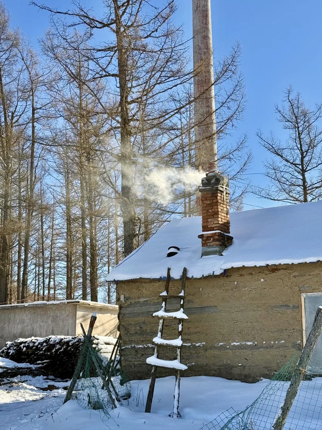 Live图的意义❄️初冬的呼伦贝尔才是人间理想
