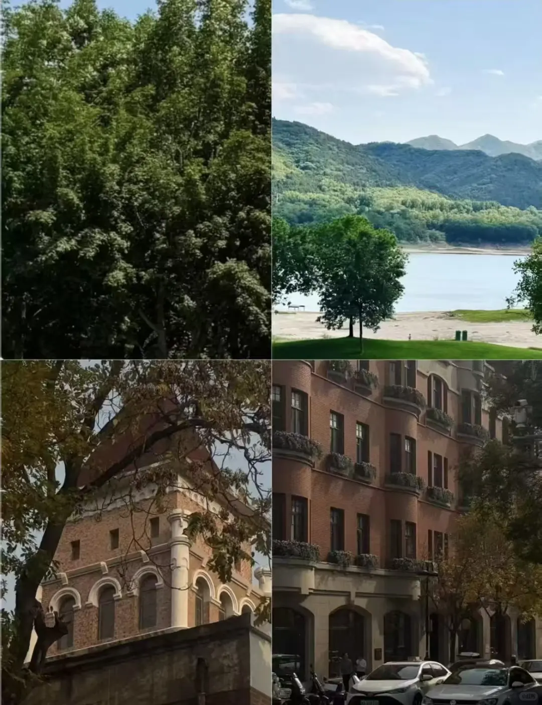 天津已回，真的不建议11月去!超全避雷攻略