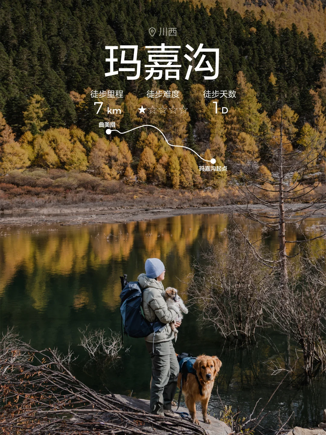 BEIN徒步攻略｜川西玛嘉沟的金秋